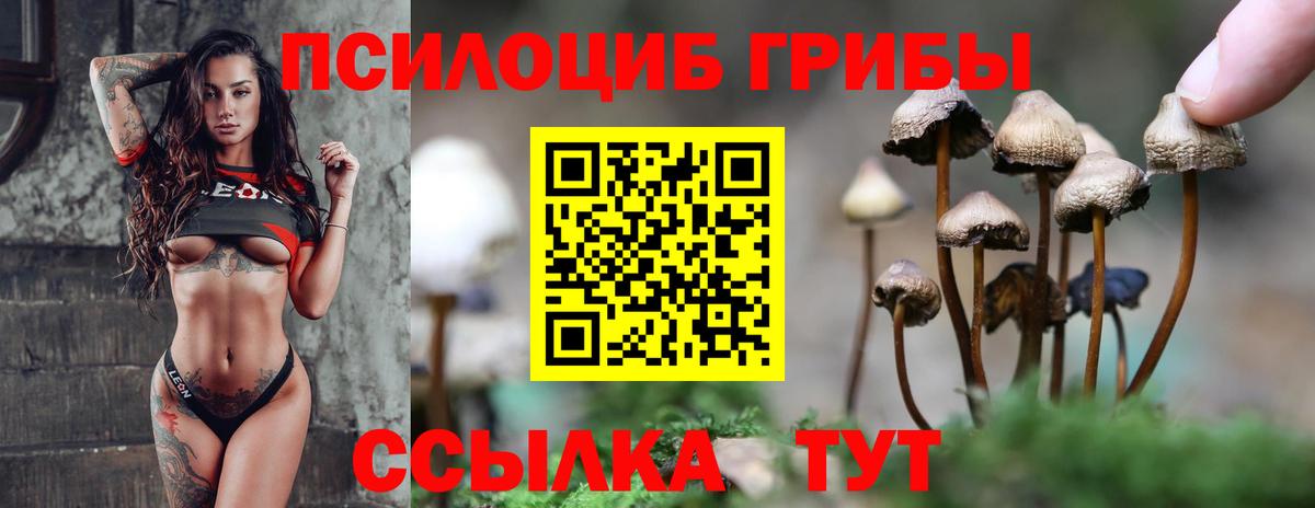 Галлюциногенные грибы Cubensis Ессентуки